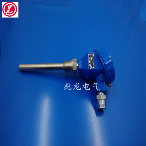 廠家直銷(xiāo)工業(yè)防爆WRN-241熱電偶