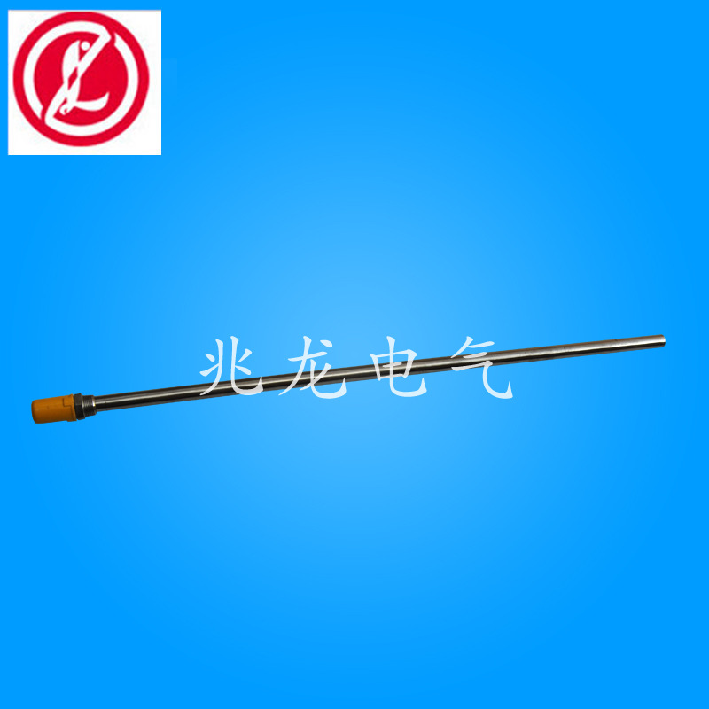 帶保護管電熱管FLSM3